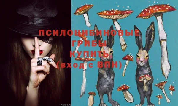 гашик Алзамай