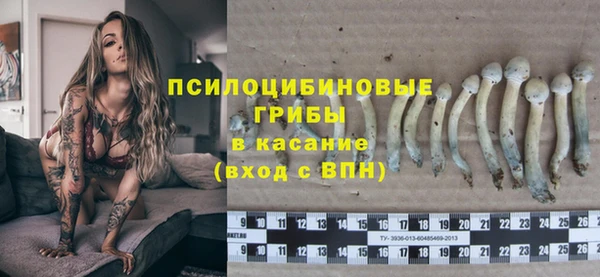 дмт Алексеевка